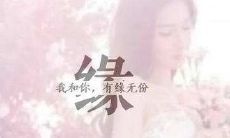 无缘不分，遗憾绵绵的情感宣泄