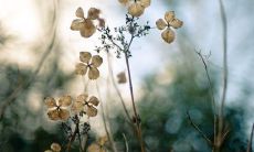 让微博简介展现你文艺范儿：一个句子的文艺微博简介