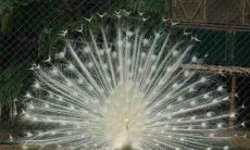 让你感到愉悦和欢乐的妙趣横生的句子集锦