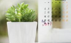 分享内心感悟——探寻亲情的真谛：通过句子表达情感，共同探讨人生中最重要的关系之一——亲情