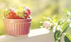 用经典语录来概括精辟的思想：灵感闪现，名言永存！