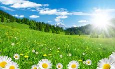 不可错过的精彩收集——豁然开朗的人生之语：充满光明与温暖的关于阳光的美妙语句！