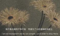 分别后的悲伤述说短句：踏上告别爱情之旅的文案