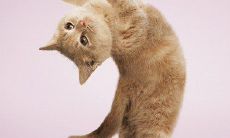 激发愉悦、娱乐无穷的语句，为人们带来欢笑和感动！