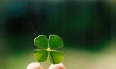 精选2022年度最新励志摘抄和抖音文案，激励你奋发向前，不断追求自我超越！