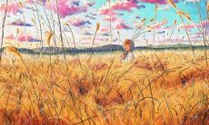 选自文学经典，带有哲学思考的生活感悟，经精挑细选的精美句子大盘点！