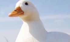 在2022年的一月收获正能量，迎接二月新的挑战：精选的语录提供启示和鼓励