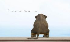 无法排遣的痛苦和伤感之情所感受到的短句