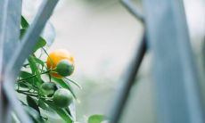 一串通过形容词娓娓道来的精神亢奋、喜不自禁的、兴高采烈的、欣喜若狂的、心花怒放的、踏实欢畅的开心句子！