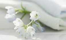 超长版：一份记录毕业时刻的回忆册——高中毕业同学录中的留言短句与唯美寄语