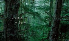 告别三月，迎接四月——优美的说说文案