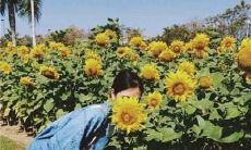 如何运用细节描写来表达亲情的情感？