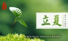 收集整理的立夏节气吉祥话、祝福短语与祝福语大全