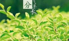 表达：描述2022年春分的简单心情，用一句话表达