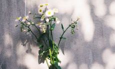 20个让你开心的句子，让你感受快乐生活的美好！