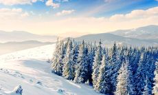 排遣忧愁，振奋精神！100句让你开心起来的鼓励自己的话