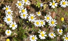 一些能够鼓励自己保持开心的心灵疗愈句子