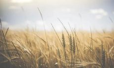 分享周末的欢声笑语，幸福无边，向朋友圈发一条长长的愉快短句