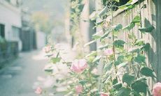 给我们尊贵的客户发出的友好问候信息，祝愿您的下午愉快！