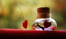 50句绝美爱情句子，让您沉浸在爱的海洋中！