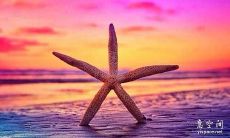 感到遗憾且无法挽回的话语，错过机会的懊悔之情