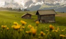 如何运用句子来实现开心过日子的技巧与方法？