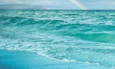 用动人心弦的语言表达被深深感染无尽爱意的句子