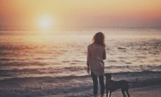 如何用温馨抒情的句子表达爱的情感？