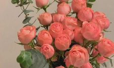 感恩节祝福语句子：用感慨铭情的语言，向亲人、朋友和祖国表达我们的感恩之情，为这个世界上所有美好的事情献上真心祝福！