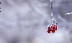 冬至的描述：简短的句子