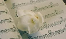 深情抒发，泪水弥漫：让心痛到滴血的句子在心底绽放