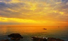 感恩美好相遇，留存深刻的唯美句子之美