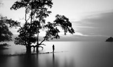 从虚伪的亲情中谈起：人们为何用空洞表达爱的语句？