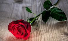 亲情是一份无法估量的宝藏，让我们珍惜它并不断增值