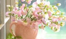 二班搞笑班级口号：用幽默点缀校园生活， 给学生带来快乐与自信！