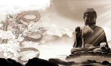 如何利用佛家禅语洗涤内心，以达到心灵净化的效果？