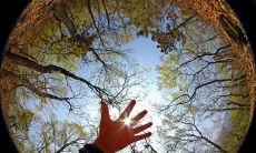 以形容心情的句子为题：用语言描绘情绪的丰富多彩性，展现内心世界的细致感知和情感变幻多端