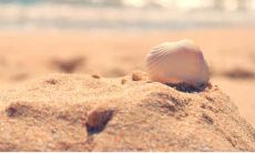 犹豫不决、犯错反悔的深层情感流露：关于后悔做出某项决定的表达方式