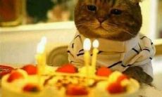 精彩好玩的搞笑生日文案集锦，让你在朋友圈放肆嘚瑟，快来品味吧！