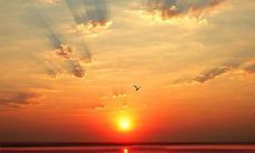 多彩的春节带来快乐的句子，让你欢乐到春天！