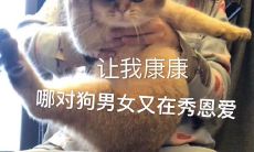 一些有趣的句子，专门为单身狗准备的，可随意在七夕发朋友圈使用