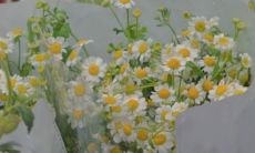 一些愉快的话语，感恩发朋友圈的适宜之选