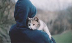 如果你做对了自己的人生选择，只需要一次机会就足够了