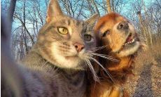 使用自己的肖像照片发布促销文案的行为：自拍文案策略探究