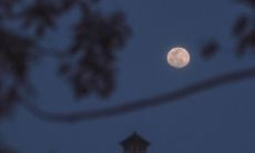 2022年经典的对联，让你感受传统文化的魅力！