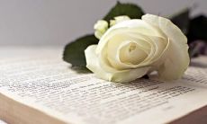 感恩亲情的名言和句子：充满感慨、感动和爱意的深情话语！