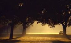 辜负了父亲期望，让我感到极度失望和沮丧的表达