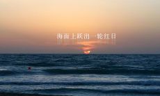 享受铁一般坚定的关系：让您感受快乐的句子