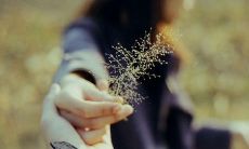 失望至极的描述：感到对自己的丈夫深感失望、失落、失望的词句