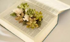 欢欣感怀之情涌动，带给你愉悦感的精心设计句子